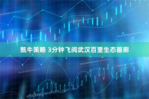 甄牛策略 3分钟飞阅武汉百里生态画廊